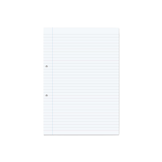 Exercise Paper A4,  1000 Pages / 500 Leaf Punched 8mm Feints & Margin - Single Ream