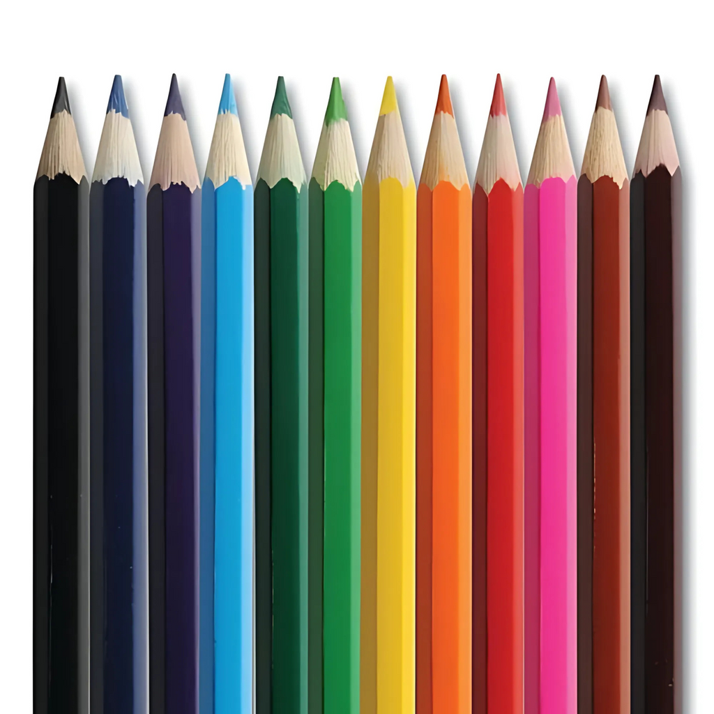 HB Coloured Pencils - Pack of 12