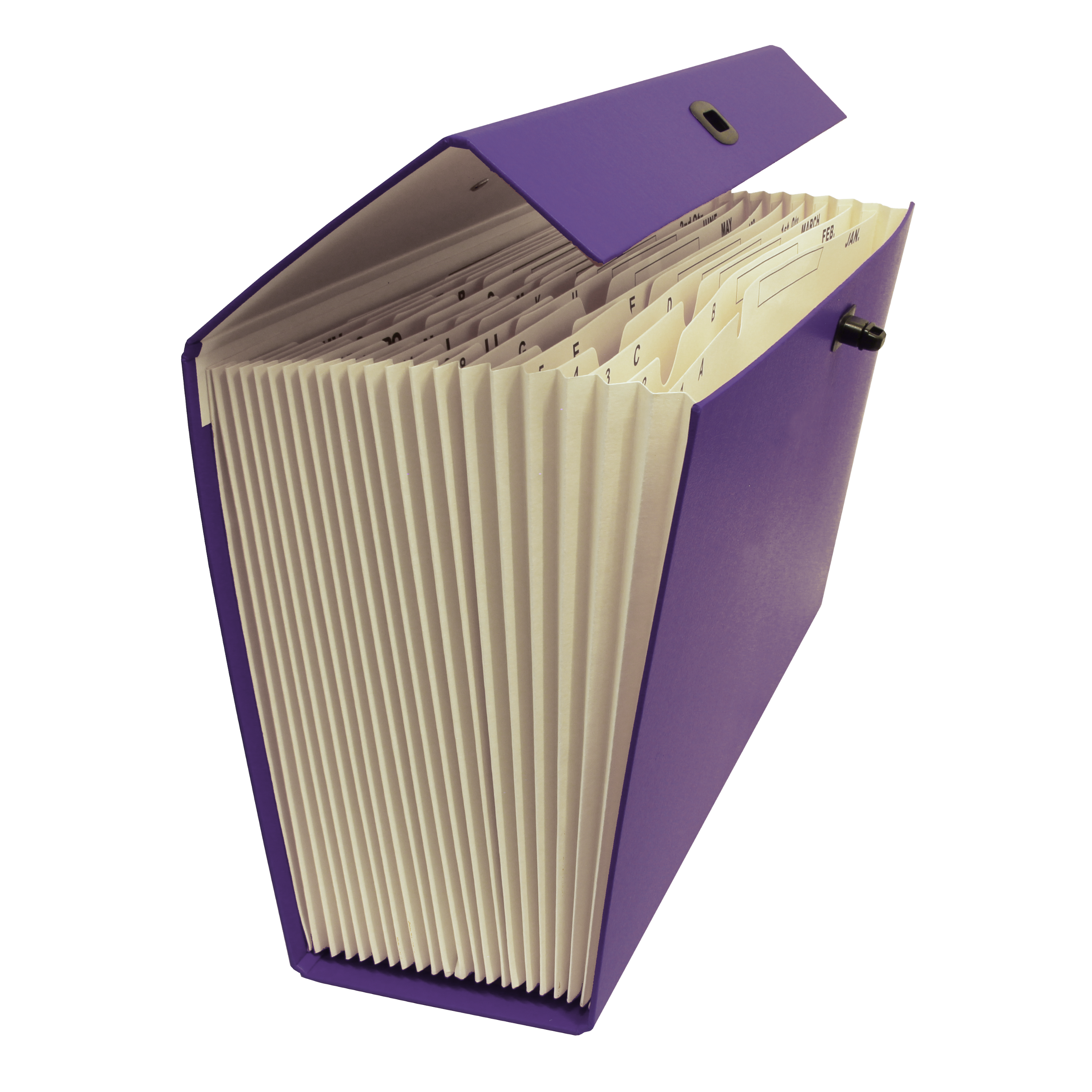 Cardboard Expanding File Case