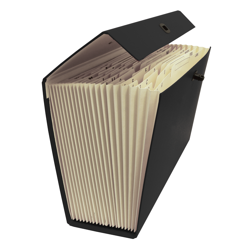 Cardboard Expanding File Case