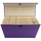 Cardboard Expanding File Case