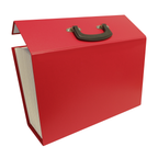 Cardboard Expanding File Case