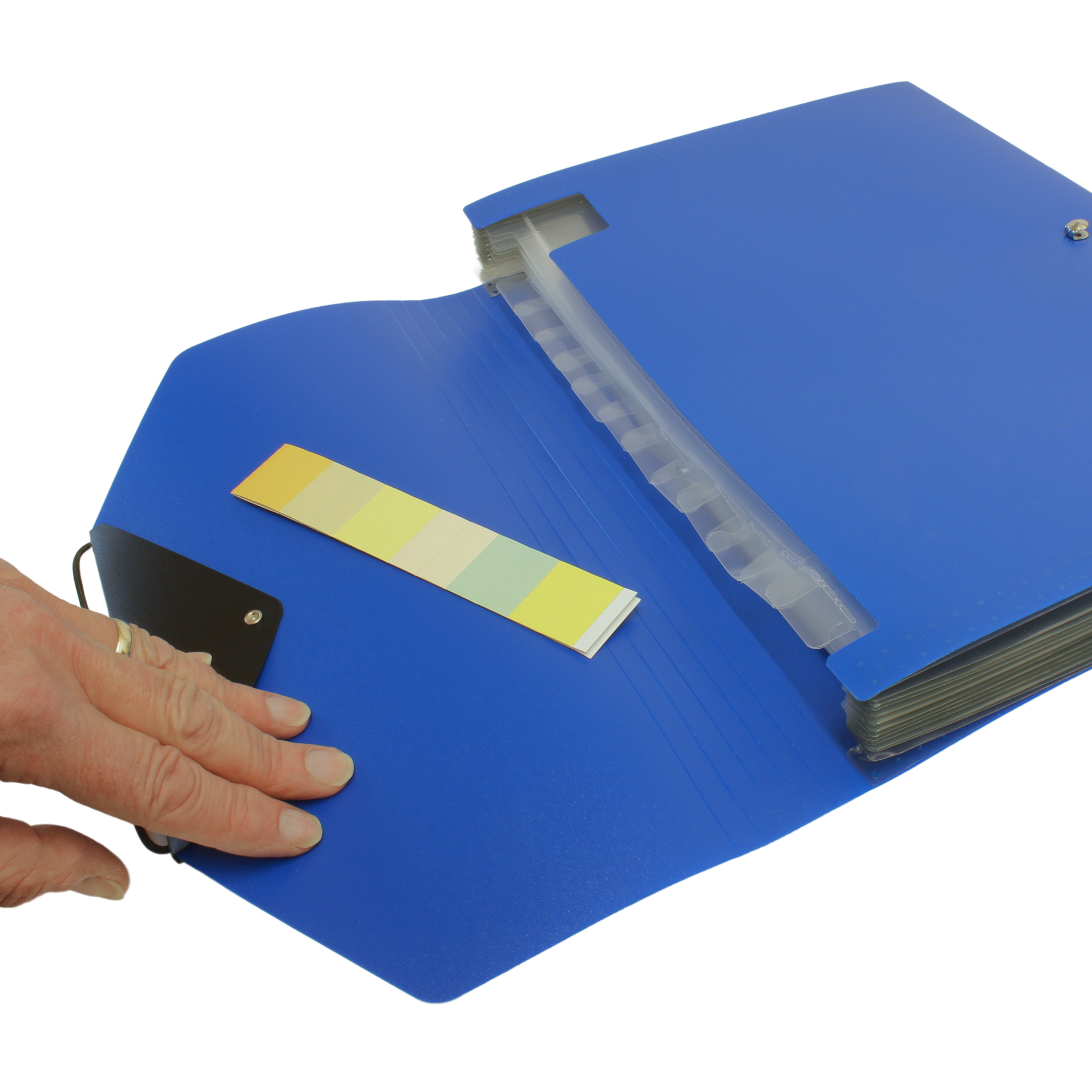 13 Pocket Triangle Flap Expanding File