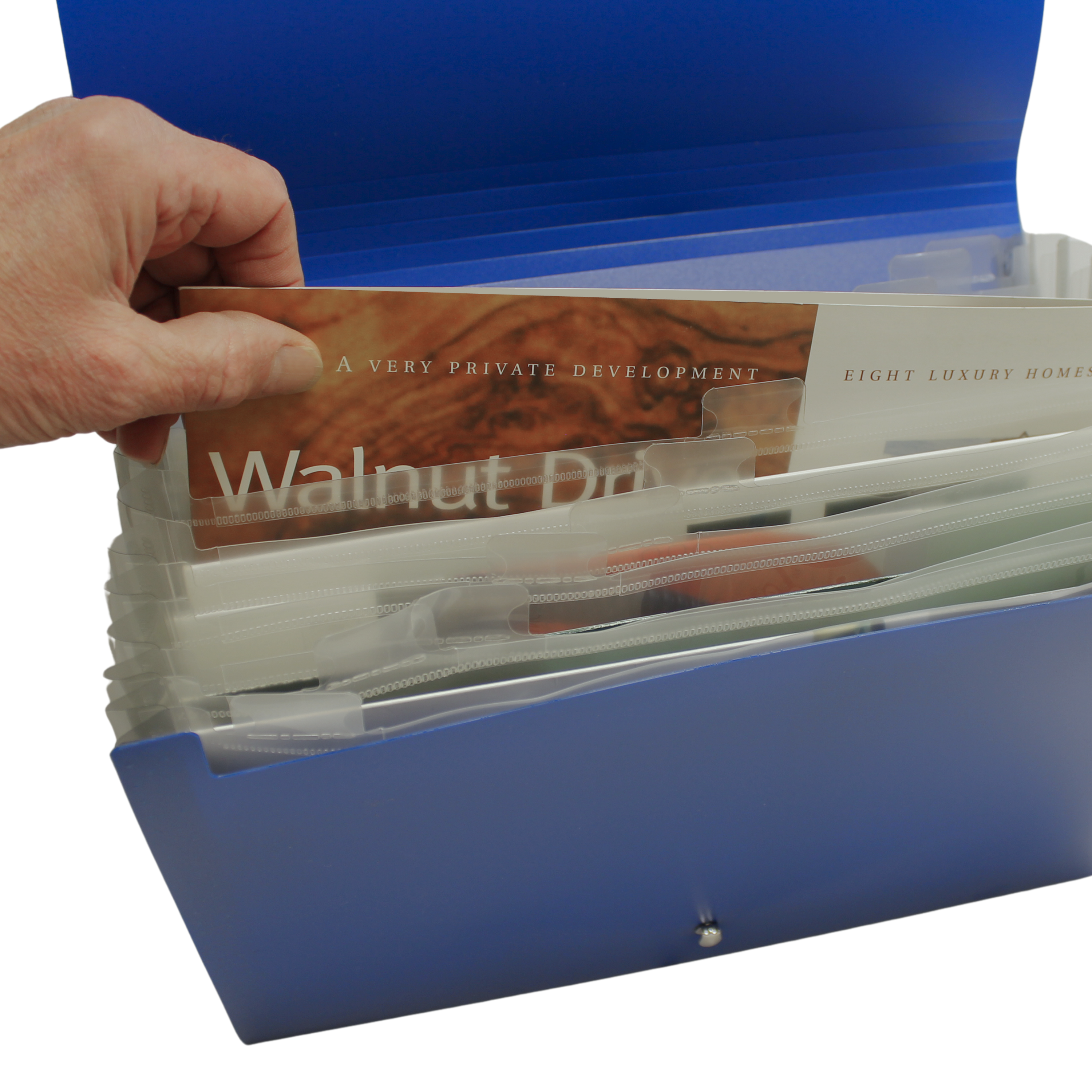 13 Pocket Triangle Flap Expanding File