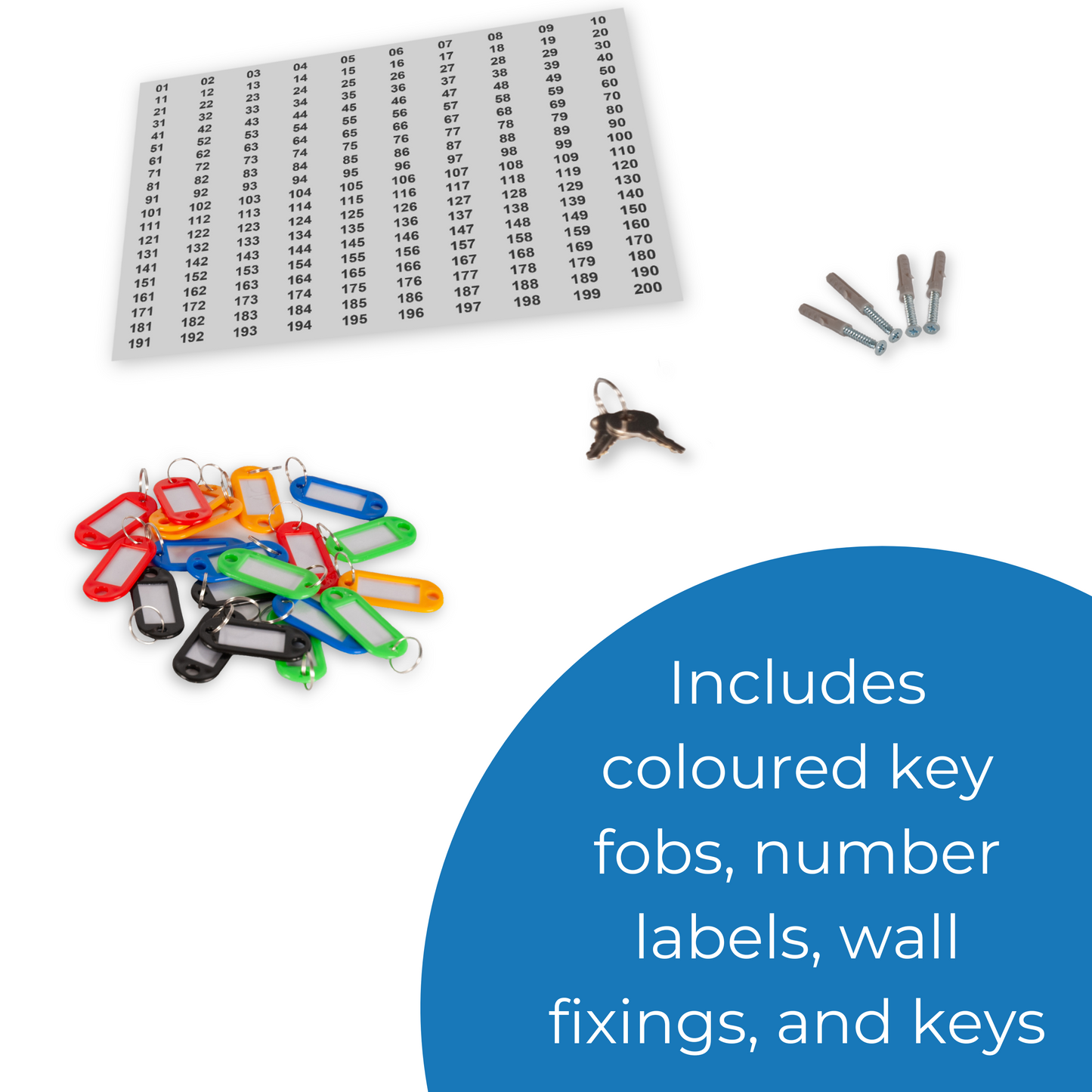 Lockable Wall Mounted Key Cabinet - 200 Key Capacity